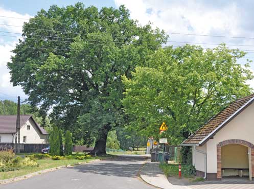 Das Dorf Politzig