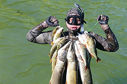 Chlopsee, zwischen Betsche und Tirschtiegel, fand im September 2016 ein ungewöhnlicher Wettbewerb statt – eine Unterwasserfischjagd mit der Armbrust,
