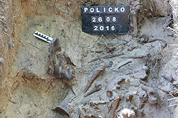 Politzig / Policko  – Kriegsgräber zwischen Meseritz und Betsche im August 2016 durch POMOST exhumiert