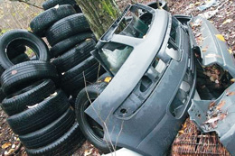 Reste aus deutscher Sperrmüllabfuhr landen im polnischen Wald