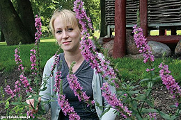 Naturkundliche Informationen Stadtpark Birnbaum