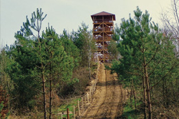 AussichtsturmTrompeterberg bei Zielomischel