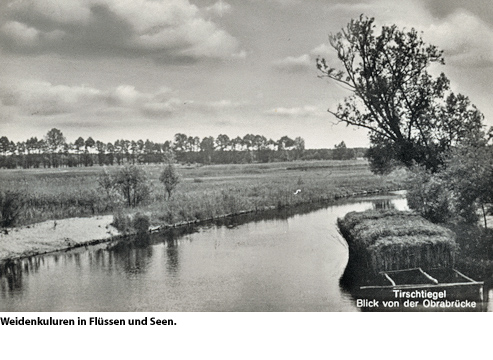Tirschtiegel - Die Weidenstadt des deutschen Ostens