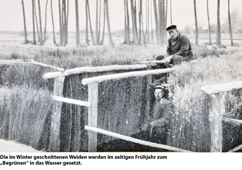 Tirschtiegel - Die Weidenstadt des deutschen Ostens