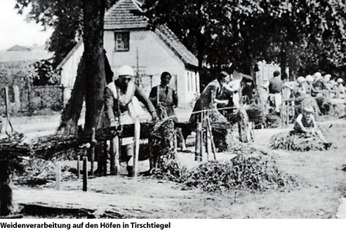 Tirschtiegel - Die Weidenstadt des deutschen Ostens