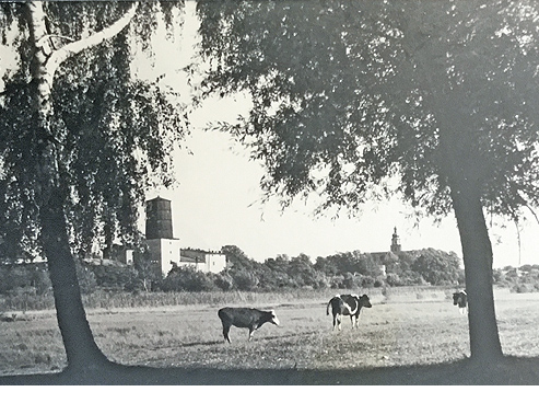 Erinnerungen an Photo Schober in Betsche