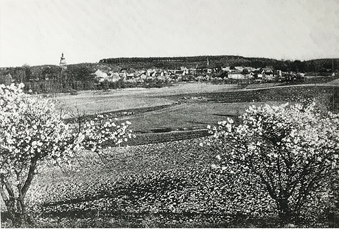 Erinnerungen an Photo Schober in Betsche