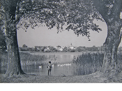 Erinnerungen an Photo Schober in Betsche