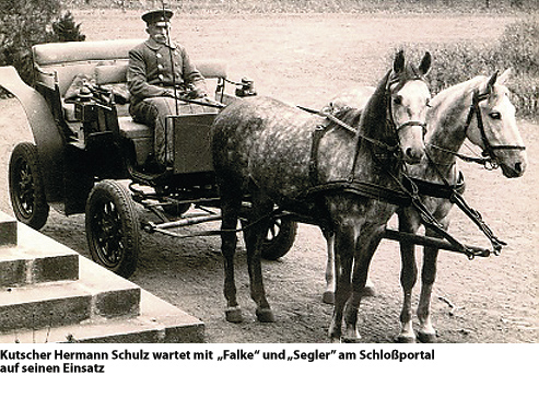 Der 1. September 1939 in Tirschtiegel