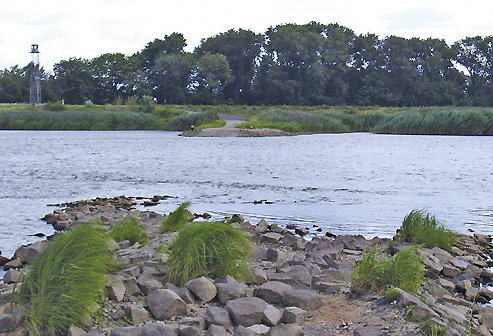 Ein Meseritzer Junge erz&auml;hlt &ndash; Walter Kintzel