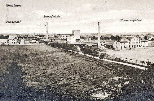 Von Birnbaum nach Miedzychód