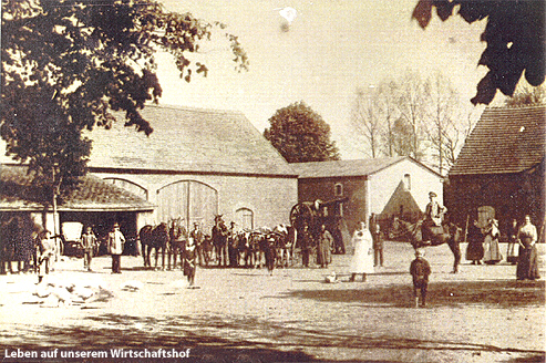 Die Großbauernfamilie Wittich in Zollerndorf / Skrzydlewo, Kr. Birnbaum