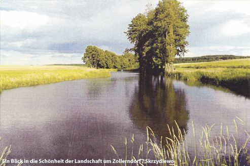 Die Großbauernfamilie Wittich in Zollerndorf / Skrzydlewo, Kr. Birnbaum